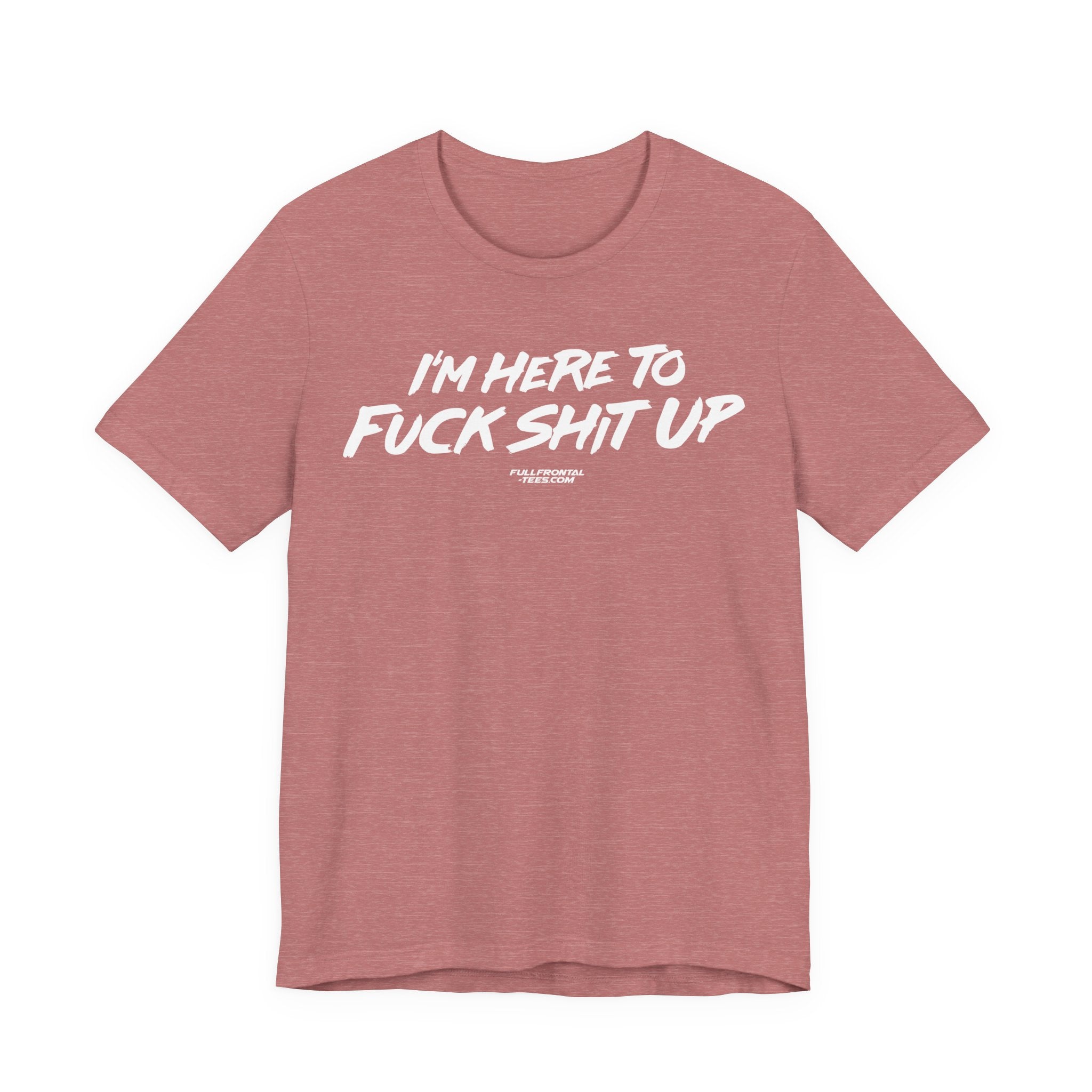 I'm Here to Fuck Shit Up Funny Jersey Short Sleeve T Shirt